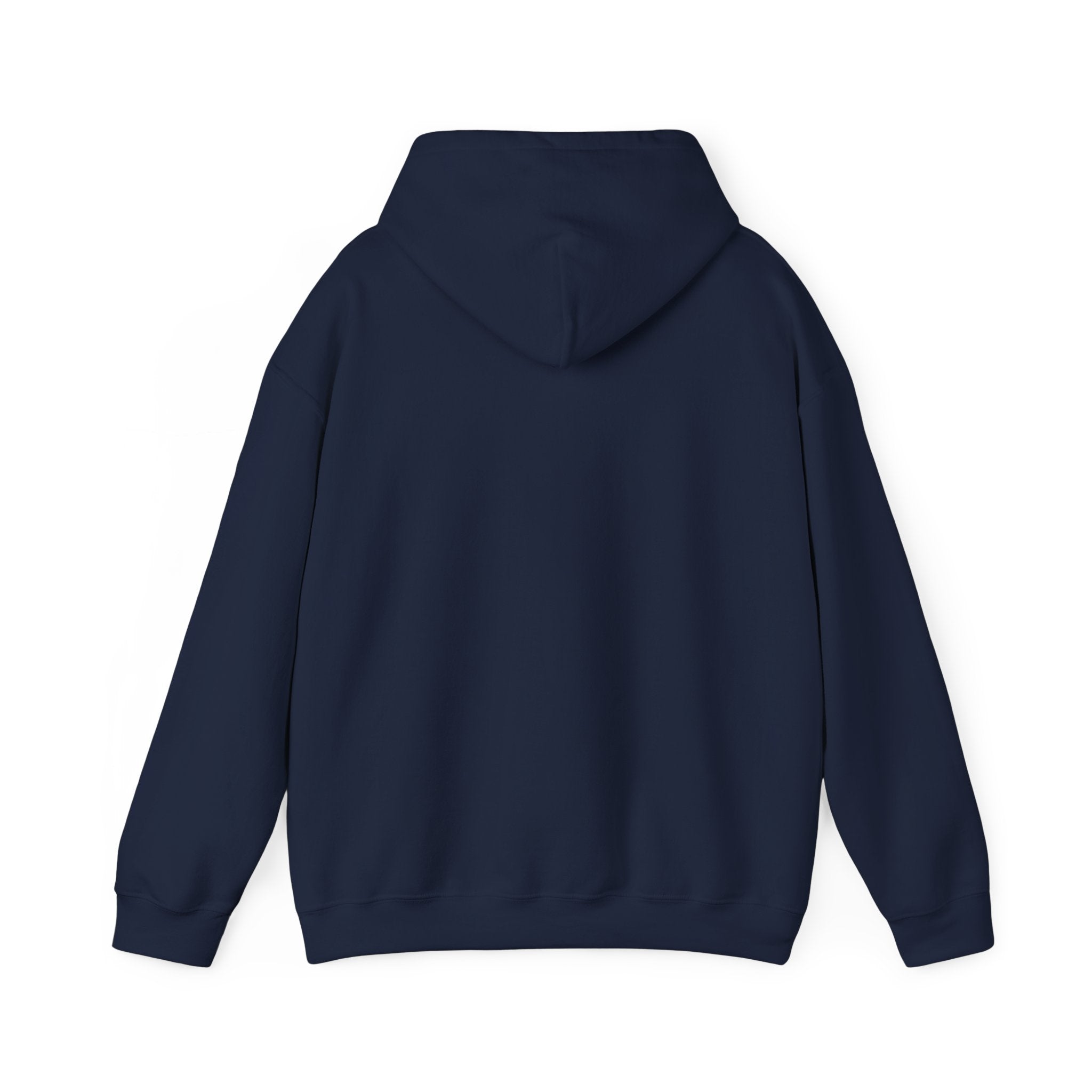 Summer Relaxation Deck Chair Hoodie | summer aesthetic, coastal vibes